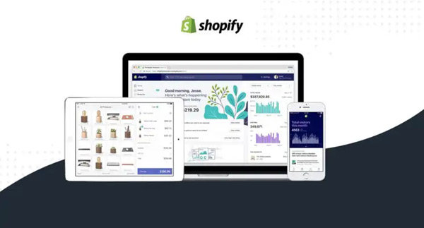 Shopify付費(fèi)流量和免費(fèi)流量的優(yōu)缺點(diǎn)對(duì)比
